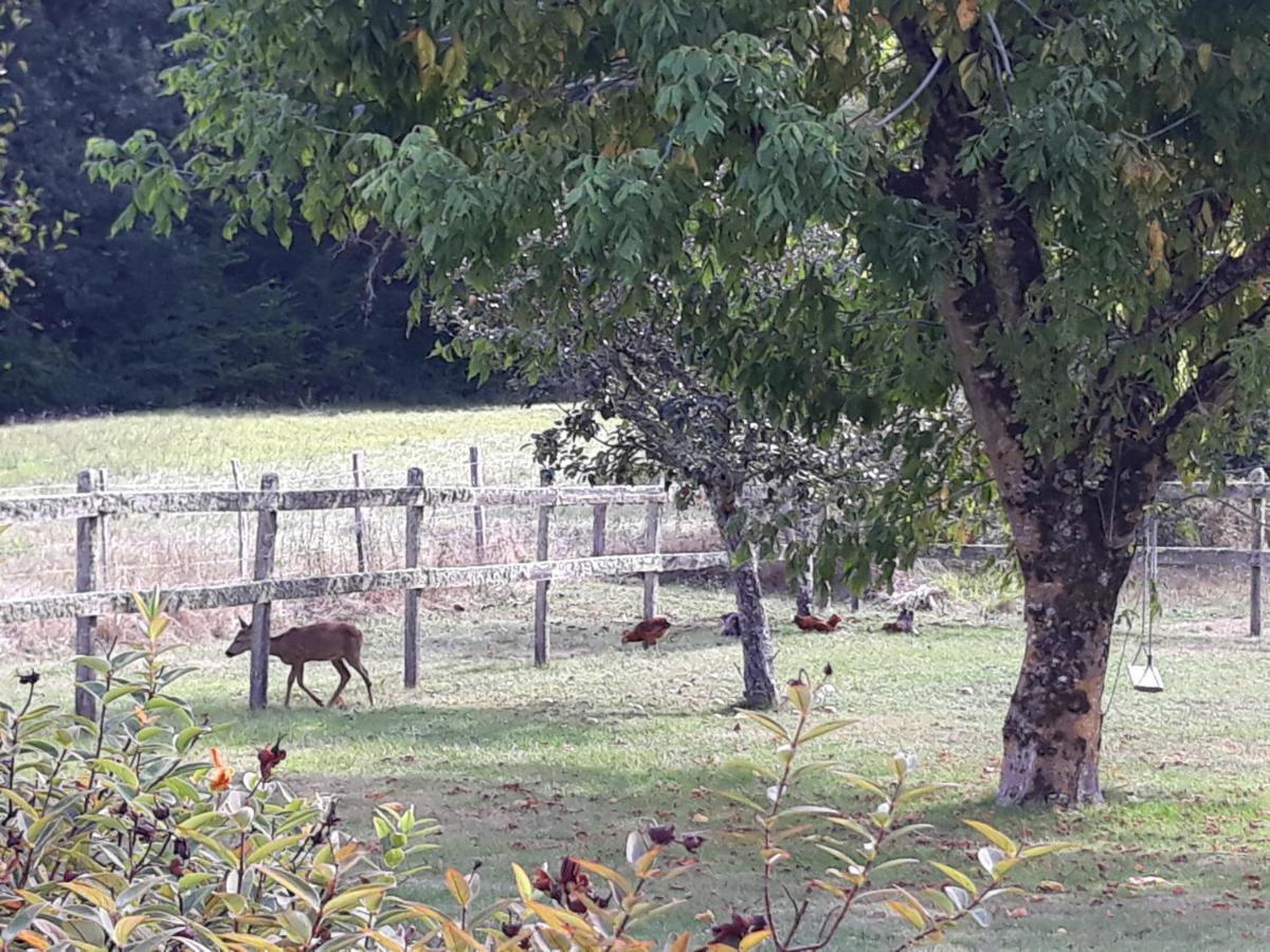 Gite Des Gravets Sigalens Buitenkant foto